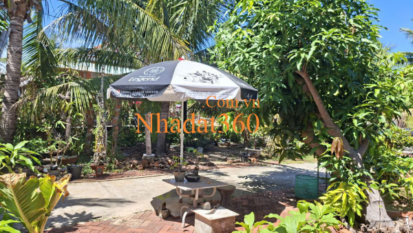 CHO THUÊ CHDV  QUẬN 7 – FULL NỘI THẤT – GIÁ CHỈ 7,5 TRIỆU/THÁNG