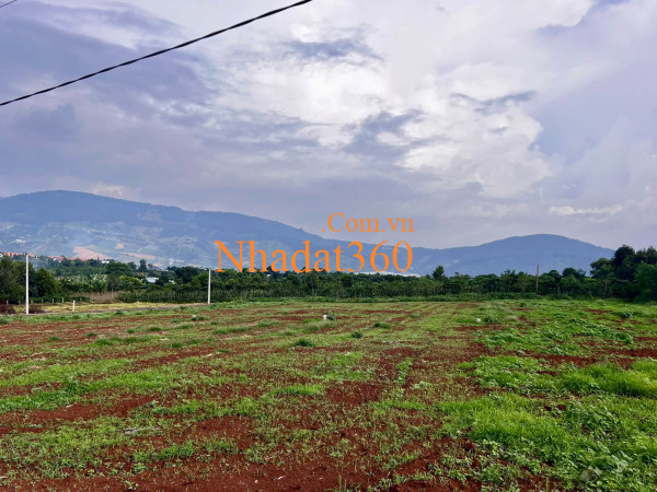 Cần Bán Đất Đông Thanh 350m², Mặt Đường Nhựa 8m, View Nam Ban, Đất Bằng Phẳng