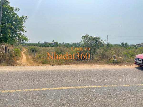 Bán 3500m2 đất ONT Mặt tiền Nguyễn Minh Châu - Tân Tiến - LaGi giá rẻ 3tr/m2